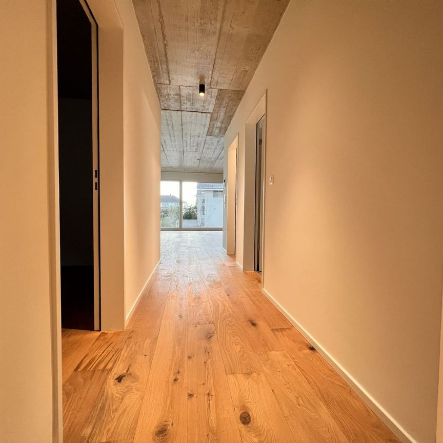 2.5 Zimmer, 66 m², EG - Foto 1