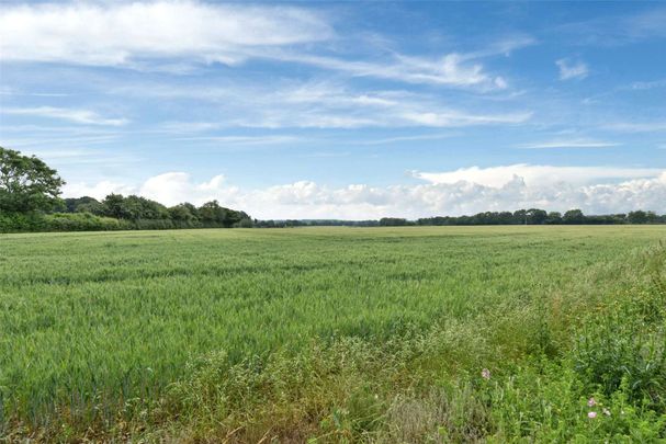 Lovely cottage with views over open fields - Photo 1