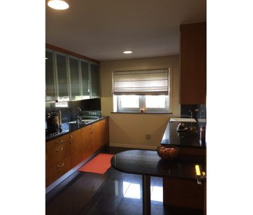 77 Rua António Cândido Pinto, Braga, Braga 4715-400 - Photo 3