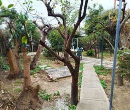 Μονοκατοικία για ενοικίαση - Αργυρούπολη, - Photo 5