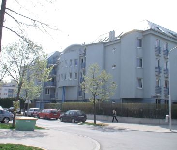 1-Zimmer-Wohnung, Top 6 - Photo 4