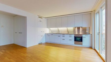 In the countryside - in the middle of Zurich - Photo 2