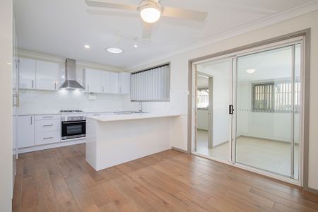 Renovated 3 Bedroom with Huge Shed at the Rear! - Photo 3