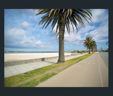 Charming Art Deco Living in the Heart of St Kilda West - Photo 5