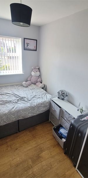 Milner Street - Photo 1