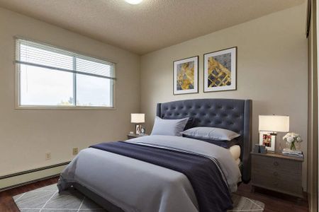 Renovated Suite - 1 Bedroom - Photo 3