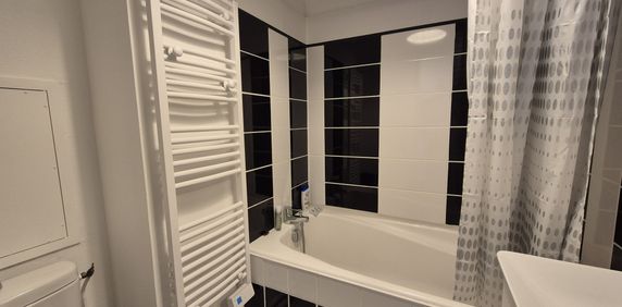 Location Appartement 1 pièce 17m² DIJON 21000 - Photo 2