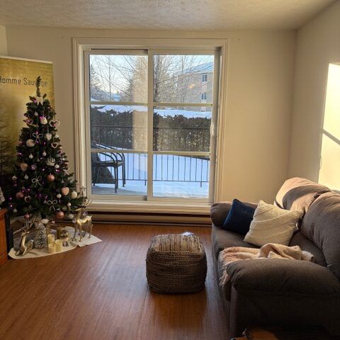 2060-205 Rue Gauthier, Sherbrooke, QC J1H 6A5 (1er Février) - Photo 1