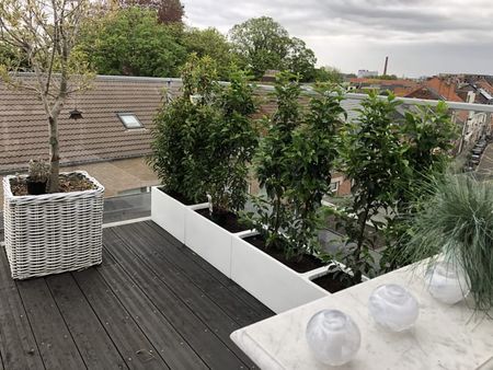 Penthouse te huur - Foto 4