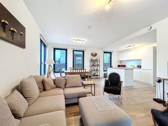 Appartement 2 chambres meublé avec terrasse - Photo 1