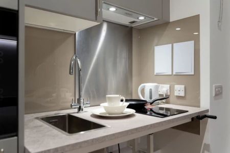 Single Studio Accessible - Photo 4
