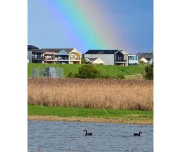 Nestled amongst the Wetlands&mldr; - Photo 2