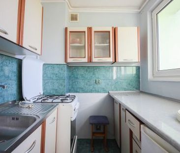 Konopnickiej, Piaski, Pabianice - Zdjęcie 1