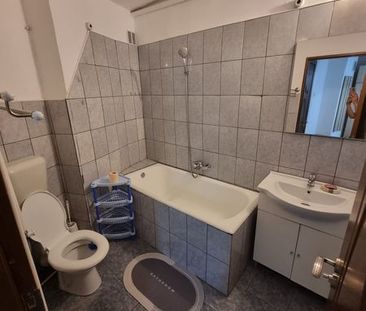 Chirie apartament o camera Nufarul - Photo 5