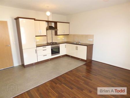Corran Mews Bio, Curran Road, Larne, BT40 1FH - Photo 4