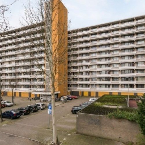 De Koppele 0ong, 5632 Eindhoven, Nederland - Photo 1