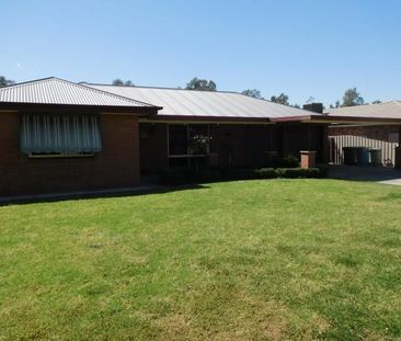 81 Veale Street Ashmont NSW - Photo 4