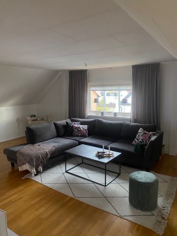 Runebergsgatan, Borås - Foto 5