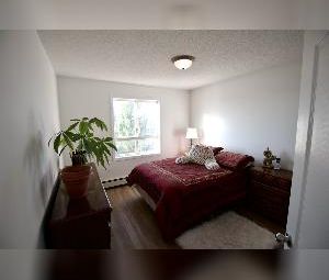 Hamptons 2 Bed 2 Bath 2 Storey Unit For Rent Edmonton - Photo 3