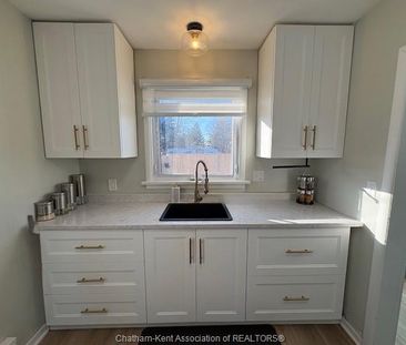 For Lease - 119 Lorne Avenue, Wallaceburg, Ontario - Photo 4