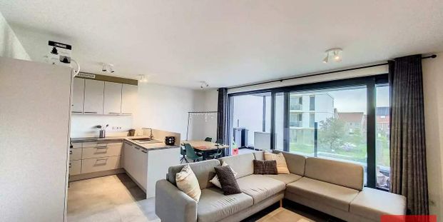 Studio te huur in Steenokkerzeel voor € 1.150 met 2 slaapkamers - Photo 1