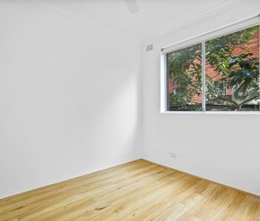 Renovated Two Bedroom Apartment - Photo 2