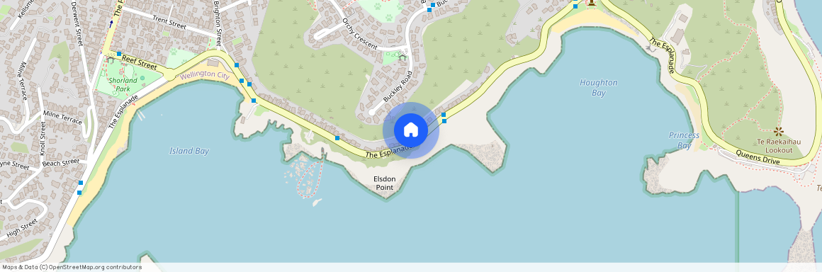 150 The Esplanade, Houghton Bay, Wellington City