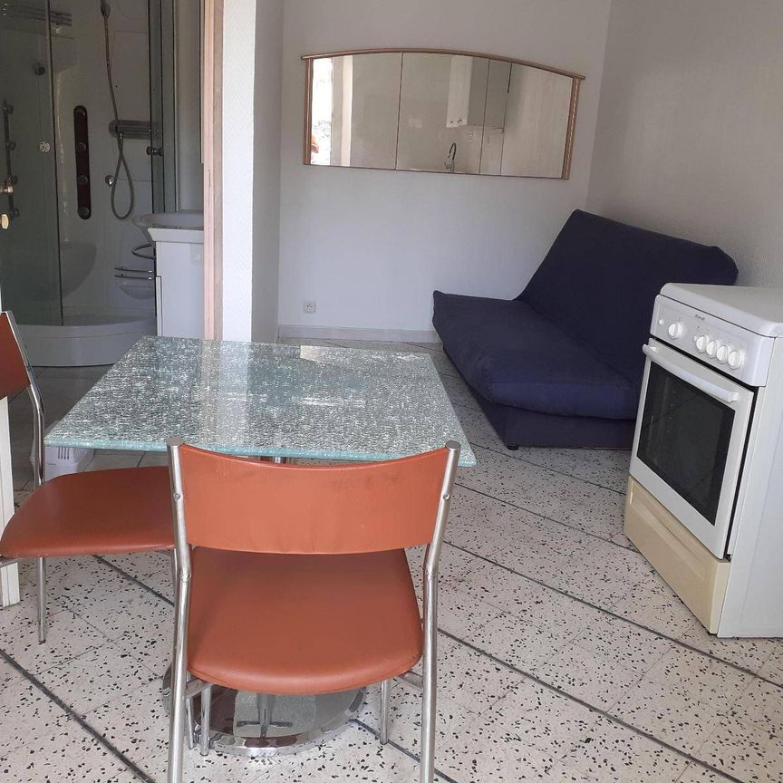 Location appartement 1 pièce 16 m² à Saint-Paul-le-Jeune (07460) 4 - Photo 1