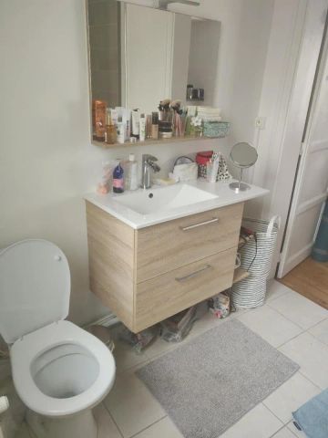 Appartement à louer 1 pièce 20.56m² - Photo 5