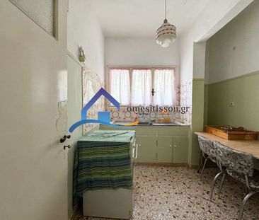 Διαμέρισμα για ενοικίαση Νέα Παλάτια (Ωρωπός) - Φωτογραφία 6