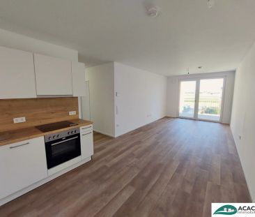 wunderschöne 3-Zimmerwohnung mit großer Loggia und herrlichem Ausbl... - Foto 6
