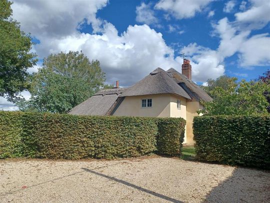 3 bedroom semi-detached house to rent - Photo 1