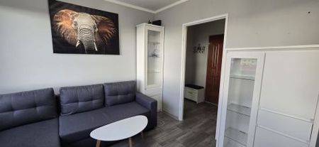 Sczanieckiego, Toruń - Фото 4