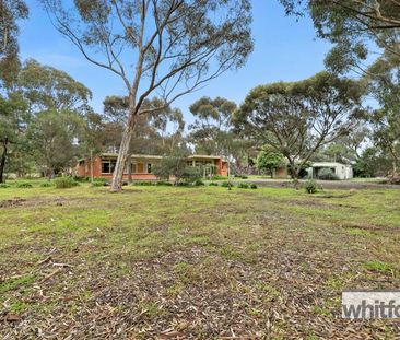 6 Coulter Street, <p>Newcomb, VIC 3219</p> - Photo 4