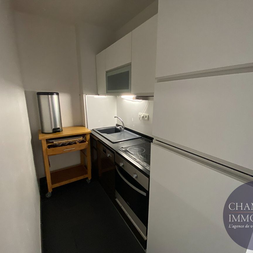 Appartement T2 loué à Blois : un bien d'exception dans un hôtel particulier Renaissance classé - Photo 1