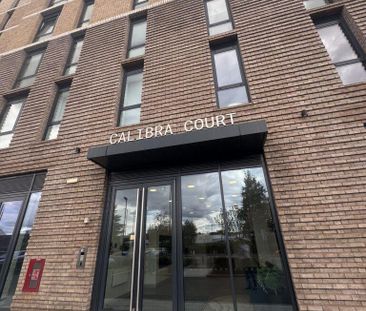 1 bedroom bungalow to rent - Photo 6