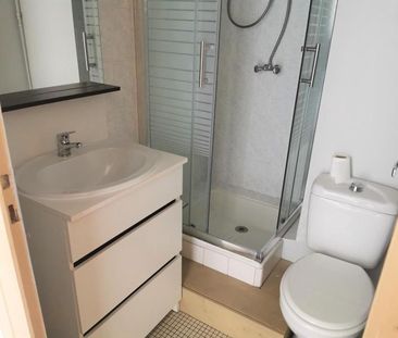 Location Appartement 1 pièce 28m² TOURS 37000 - Photo 3