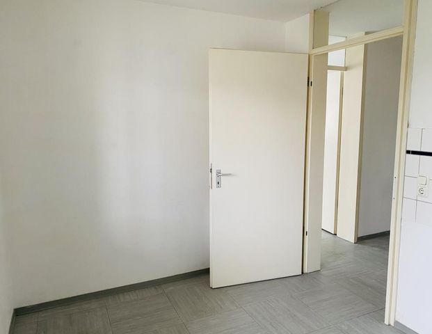 Helle 2-Zimmer-Wohnung ab sofort frei - Anmietung nur mit Wohnberechtigungsschein nach §88d - Photo 1