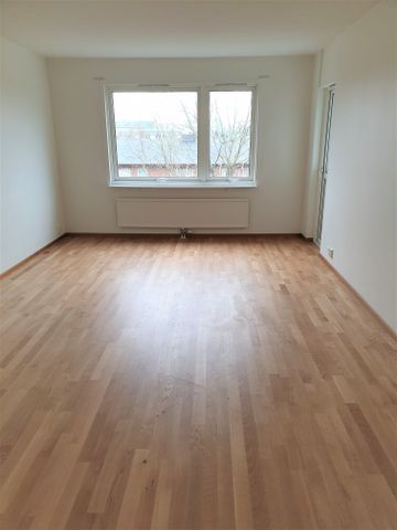 Keplers Gata 44 - Photo 3