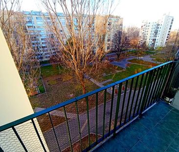 Warszawa Bielany, Lwa Tołstoja - Zdjęcie 2