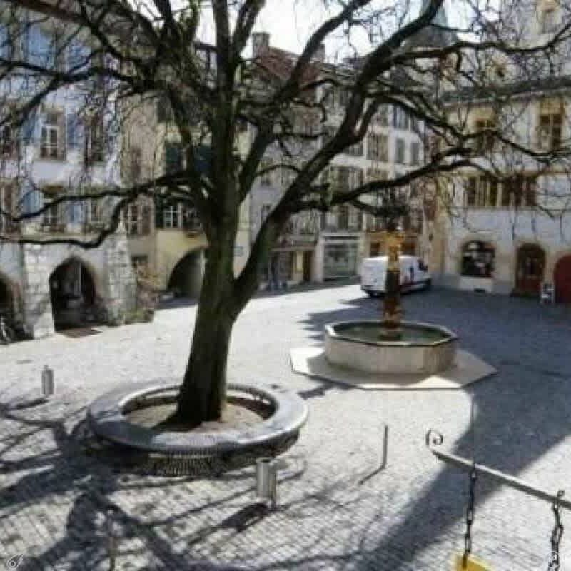 2 Zimmer, 59 m², EG - Photo 1