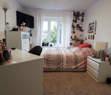 For Lease - 5134 Silvercreek Drive, Burlington, Ontario - Photo 5