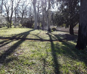 Location Appartement 1 pièce 20m² RAMONVILLE ST AGNE 31520 - Photo 5