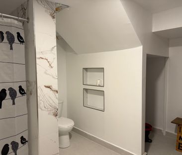 For Lease - 22 Daleside Crescent Unit# #1bast, Toronto, Ontario - Photo 1