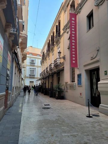 Calle Echegaray, Málaga, Andalusia 29015 - Photo 5