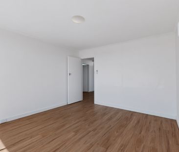 Freshly Updated Boutique Apartment in Prime Aberfeldie Location - Photo 2