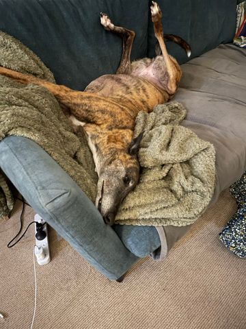 Notting Hill - Photo 2