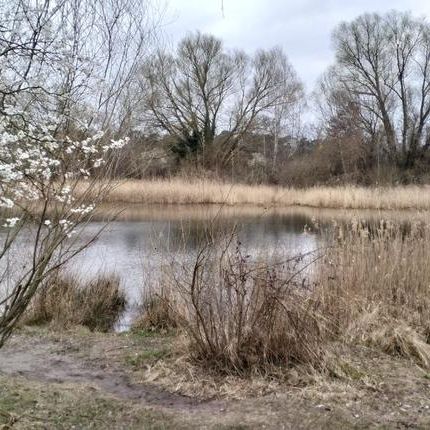 2 er WG Berlin Mahlsdorf sucht 2 neue Bewohner/ innen - Photo 1