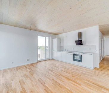 Lichtdurchflutet & einladend - 2-Raum-Wohnung im skandinavischen Stil - Photo 1