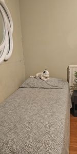 Room in a Shared House, Colville Road, E11 - Photo 4